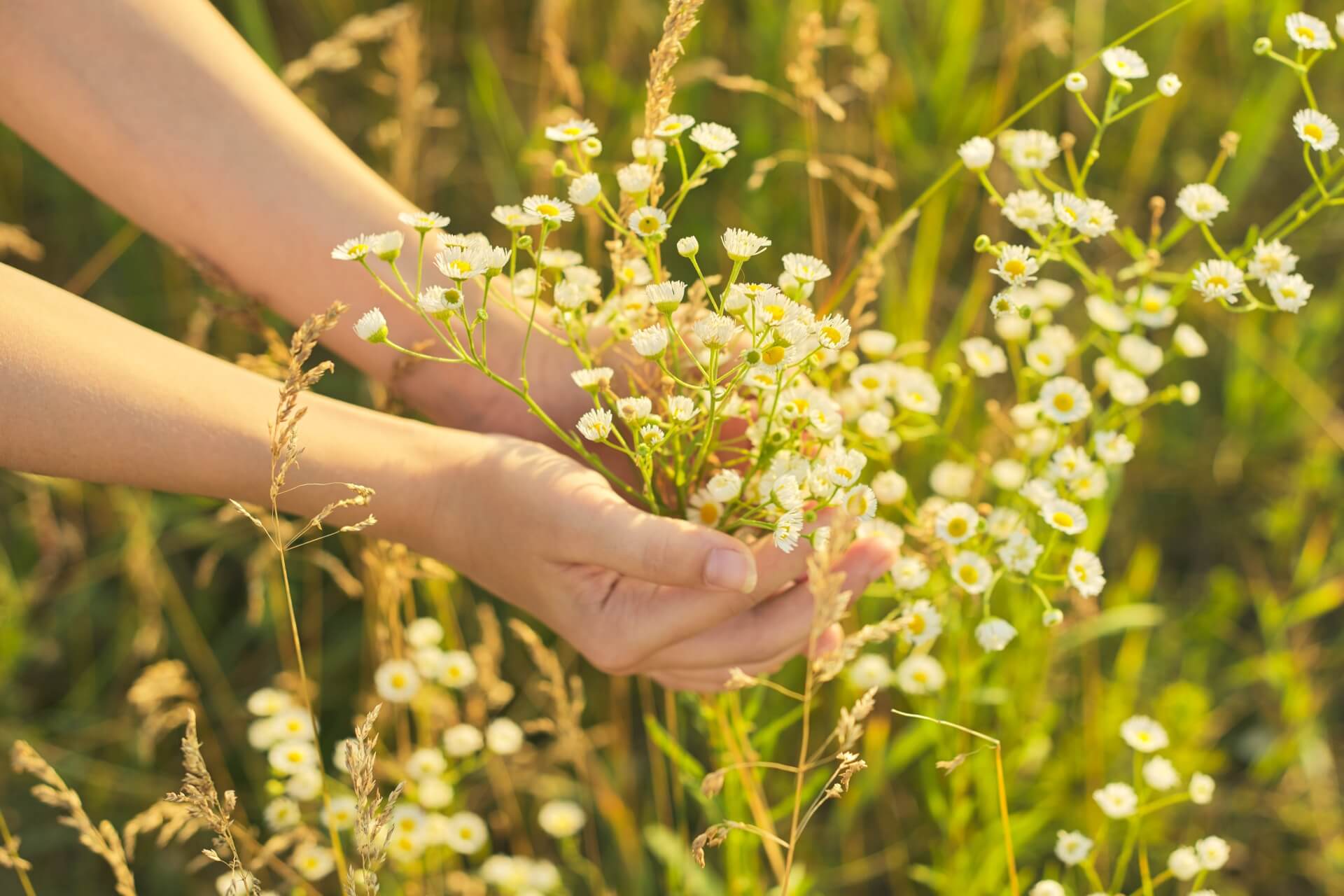 Blooming With Health